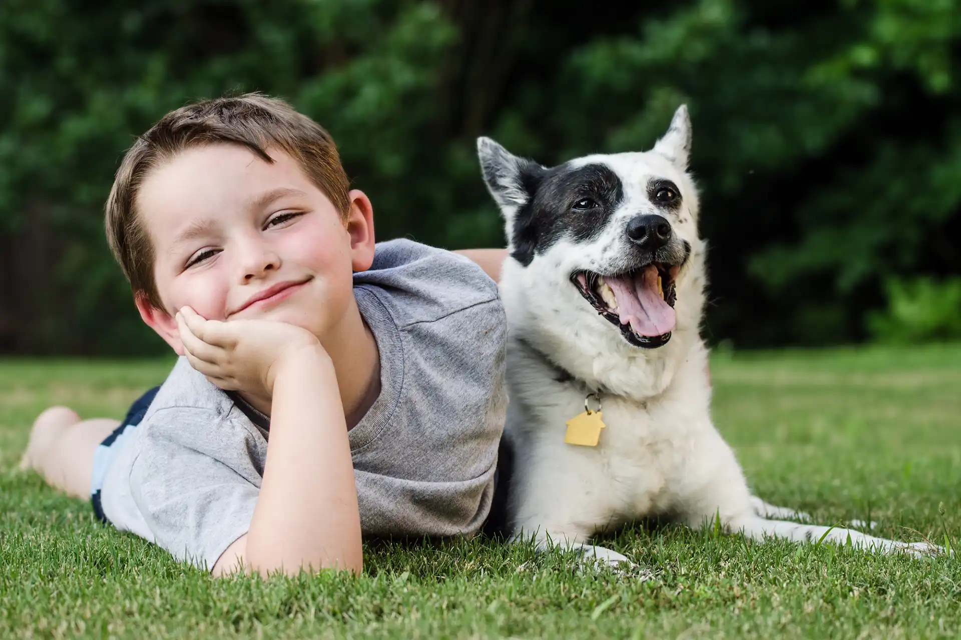 hypnosis, hypnotherapy for children, health A young boy peacefully laying on the grass with his loyal dog, experiencing the calming benefits of hypnotherapy for children.